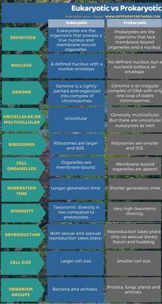 the different types of plants that can be seen in this infographtion chart, which includes