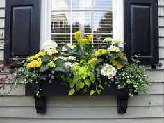 a window box filled with yellow and white flowers