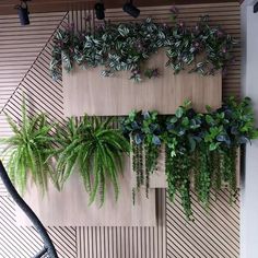 several green plants are growing on the wall