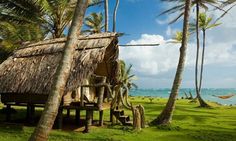 a hut on the beach surrounded by palm trees