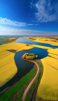 an aerial view of a river and yellow fields