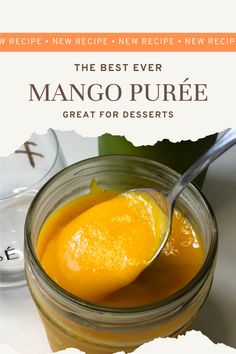 the best ever mango puree great for desserts recipe book cover with spoon in jar