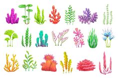 watercolor seaweed and algaes are shown in different colors on a white background