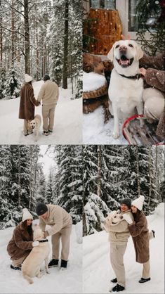 four pictures of people and their dogs in the snow, one has his nose on another dog's head