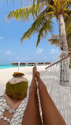 a person laying in a hammock with a coconut on the beach next to them