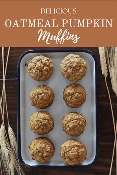 Oatmeal Pumpkin Muffins Oatmeal Pumpkin Muffins, Pumpkin Breakfast Muffins, Muffin Recipe Healthy, Muffins For Kids, Healthy Breakfast Ideas For Kids, Baking Winter, Baking For Kids, Pumpkin Oatmeal Muffins, Baking Sourdough Bread