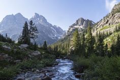 a river running through a lush green forest filled with rocks and pine covered mountains in the background