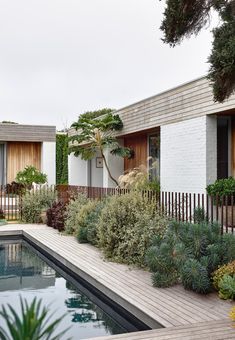 an outdoor swimming pool surrounded by trees and plants next to a building with wooden shutters