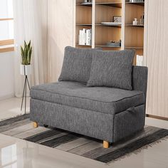 a grey couch sitting on top of a rug in front of a book shelf filled with books