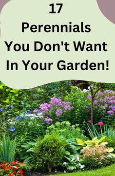 the words 17 perennials you don't want in your garden