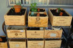 several wooden boxes filled with plants sitting on top of a metal shelf next to a window