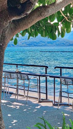 there are many chairs on the beach next to the water and trees in front of them