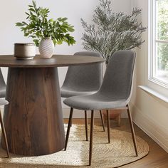 a dining room table with four chairs and a potted plant on the top of it