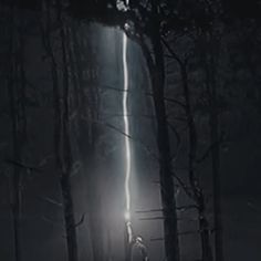 a man standing in the middle of a forest at night with light coming from his head