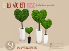 three potted plants in the shape of heart shaped leaves with text that reads la vie en rose valentine's special