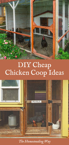 DIY Cheap Chicken Coop Ideas Scrap Chicken Coop, Chicken Coop On Wheels Diy, Backyard Chicken Coop Ideas Diy, Chicken Coop Accessories Diy, Chicken Coop Diy Plans, Cheap Chicken Coop Diy, Diy Chicken Coop Ideas Easy Cheap, Chicken Coop Designs Diy Cheap, Diy Chicken Run Cheap