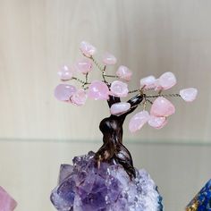 a bonsai tree with pink flowers on top of purple rocks