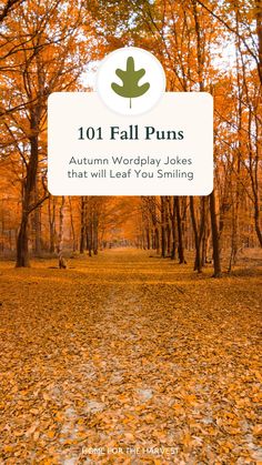 the words 101 fall puns autumn wordplay jokes that will leaf you smiling