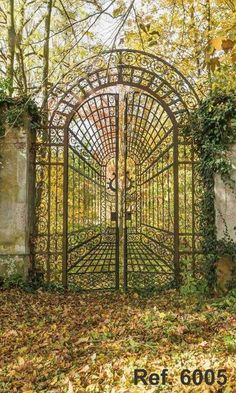 an old iron gate surrounded by leaves in the fall with text overlay that reads, ref 6005