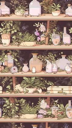 a shelf filled with lots of different types of vases and plants on top of wooden shelves