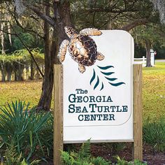 a sign for the georgia sea turtle center