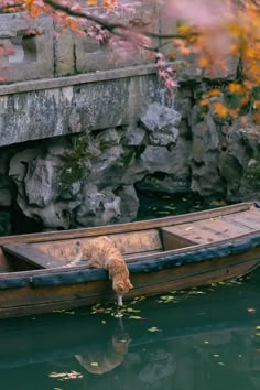 a cat drinking water out of a boat in the river next to a stone wall