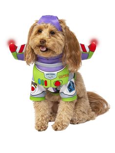 a dog dressed as buzz lightyear from toy story