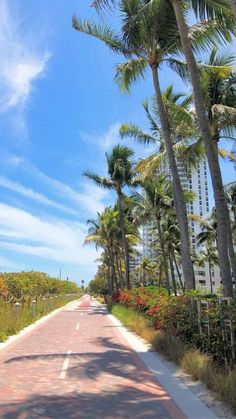 an empty street lined with palm trees and flowers