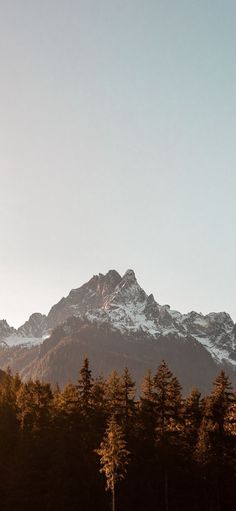 the mountains are covered in snow and trees