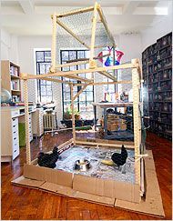 an open cardboard box on the floor with birds in it and shelves full of books