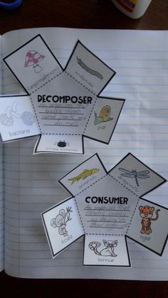 an open book with pictures and writing on it, including the words decomposer