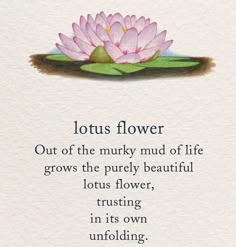 lotus flower with the quote lotus flower out of the murky mud of life grows the purely beautiful lotus flower, trusting in its own unfolding