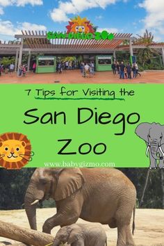 zoo San Diego Zoo Outfit, Zoo Outfit, Visit San Diego, San Diego Travel, Family Vacation Destinations, Safari Park