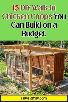 a chicken coop with the title 15 diy walk - in chicken coops you can build on a budget