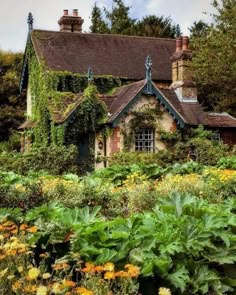 an old house is surrounded by flowers and greenery in the foreground, with lots of foliage