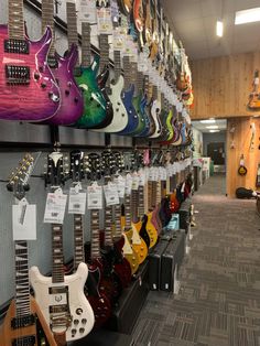 guitars are lined up on display in the store