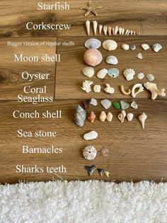 the different types of seashells are displayed on a wooden board