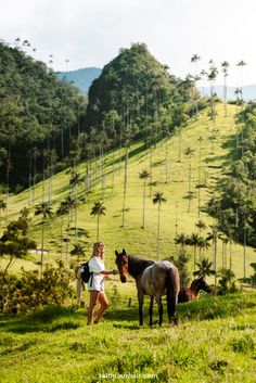 a woman standing next to a brown horse on top of a lush green hillside covered in palm trees