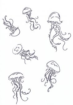 four different types of jellyfishs drawn in black ink on white paper, each with an