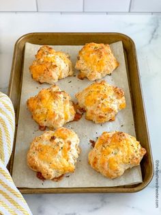 six biscuits on a baking sheet ready to go into the oven with cheese and herbs