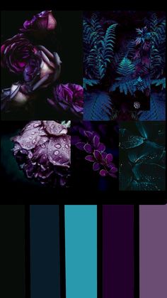 purple and blue color palettes with green leaves in the middle one is dark, the other is light