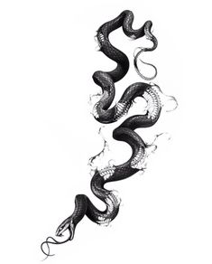 a black and white drawing of two snakes in the shape of a spiral, on a white background