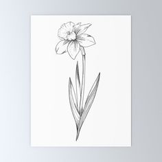 a black and white drawing of a daffodil flower on a white background