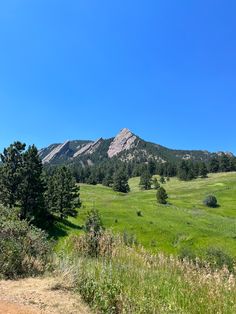 a grassy field with trees and mountains in the background