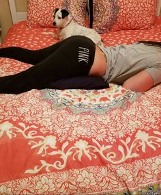 a woman laying on top of a bed next to a white and black dog wearing leggings