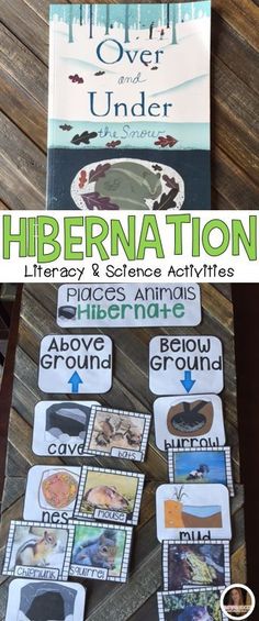 there is a book about hibernation on the table with pictures and words below it