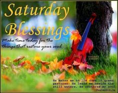 a violin sitting in the grass next to a tree with leaves on it and an inscription that reads, saturday blessing