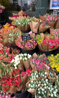 many different colored tulips are on display for sale