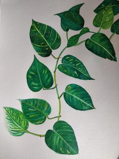 a painting of green leaves on white paper