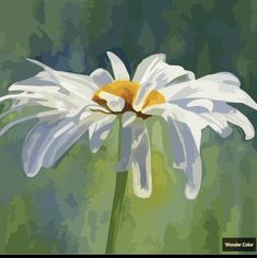 a painting of a white flower with yellow centers